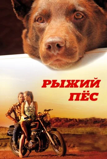 Рыжий пес (2011) онлайн бесплатно